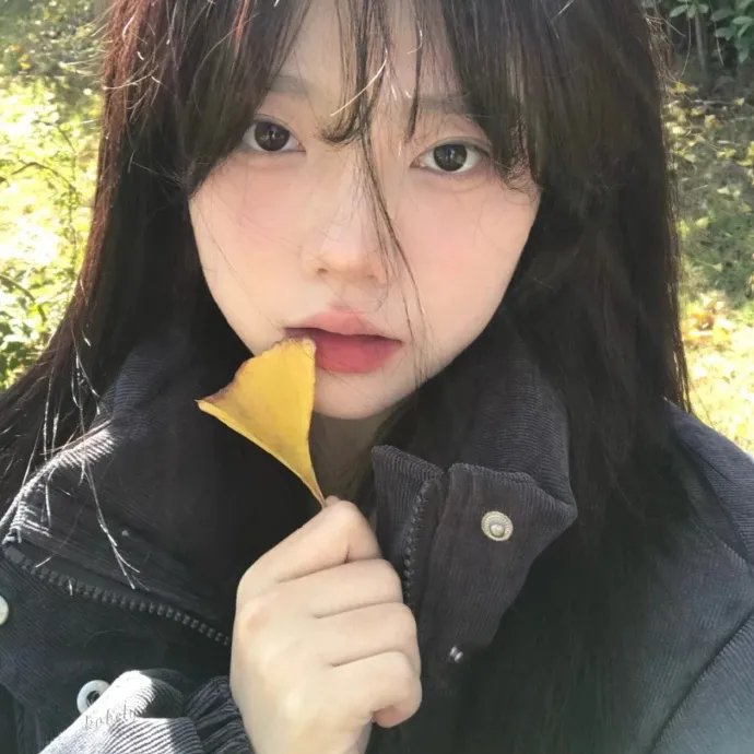 且将岁月赠山河